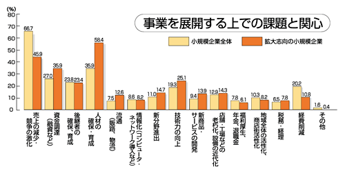 事業を展開する上での課題と関心に関する調査のグラフ