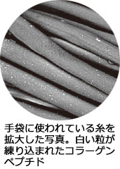 拡大写真