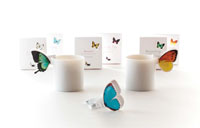 「BUTTERFLY TEA」
