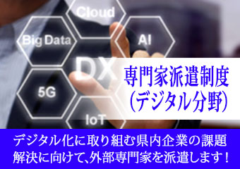専門家派遣制度（デジタル分野）