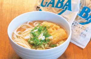 キャバの入った米粉うどん