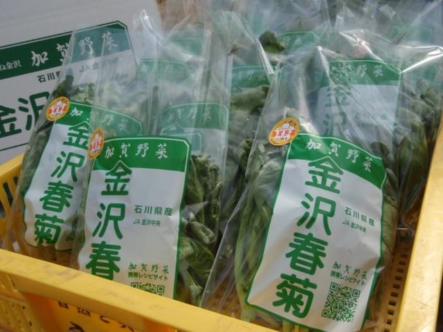 金沢春菊