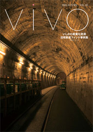 vivo 05