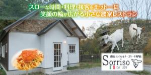 タイトルバナー