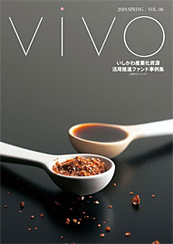 vivo 06