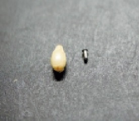 製品3