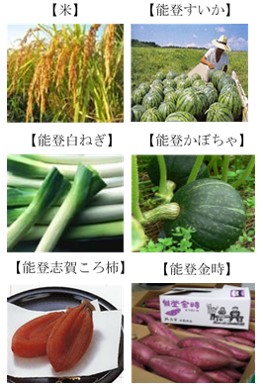 管内の野菜の写真