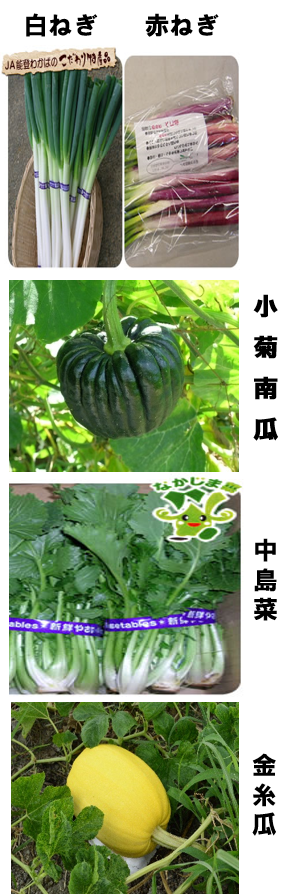 野菜の写真