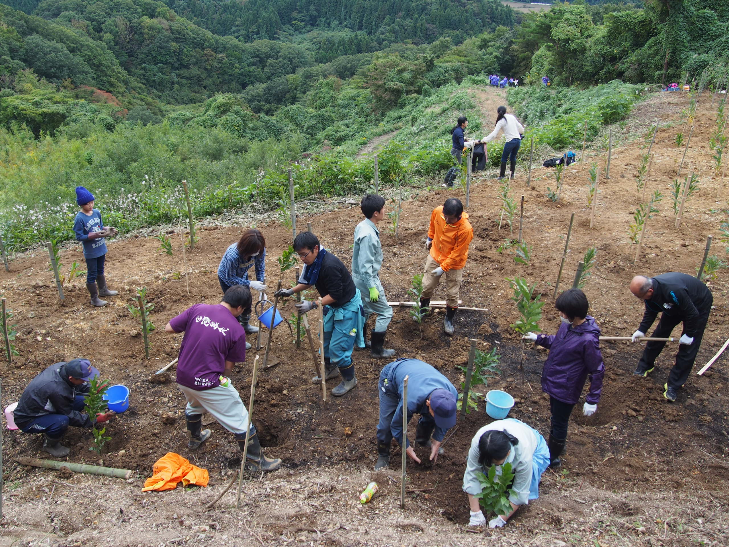 大野製炭工場