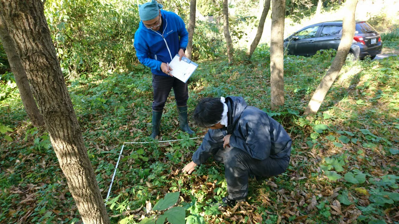 大野製炭工場