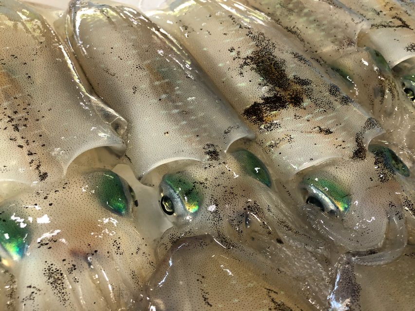 したひら鮮魚店