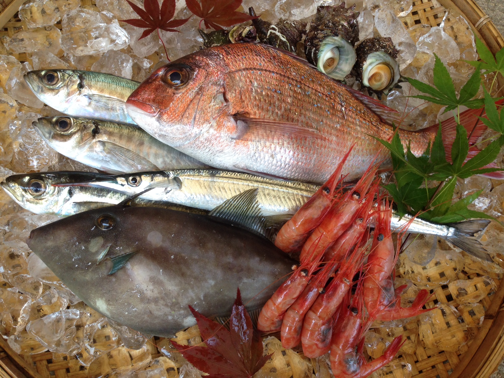 したひら鮮魚店