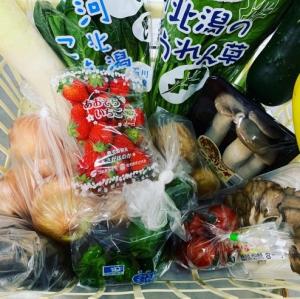 サカイダフルーツのドライブスルー販売