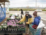 切り花・苗販売コーナー