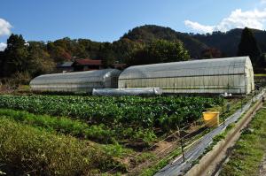 美しい里山にある農園