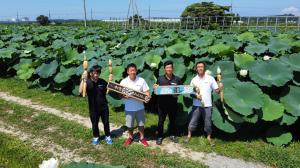 加賀れんこん生産者