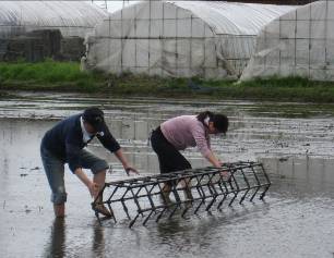 六角田植え枠転がし
