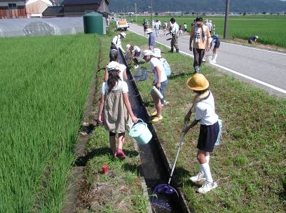 生き物調査