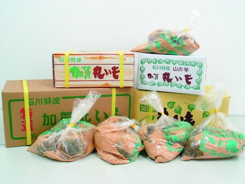 加賀丸いも