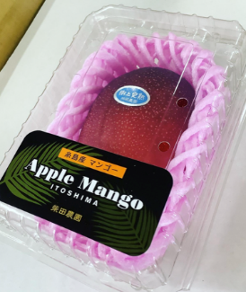 マンゴー