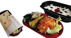 テイクアウト　特製ハンバーグ弁当