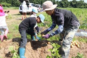 子供と一緒に野菜の収穫体験