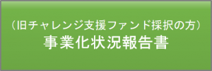 事業化状況報告書