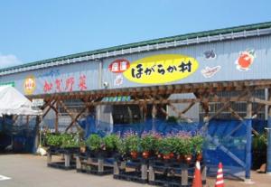 JA金沢市直売所　ほがらか村