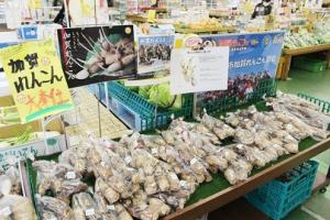 加賀れんこん売り場