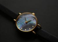 有限会社 シーブレーン