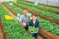 西本農園 生産者